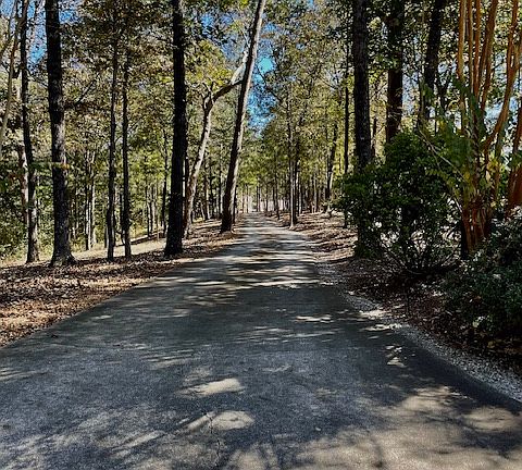 Driveway from Gillsville Highway