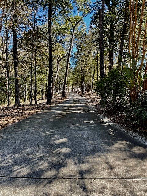 Driveway from Gillsville Highway