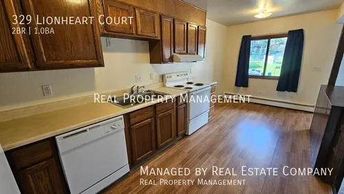 329 Lionheart Ct Photo 1