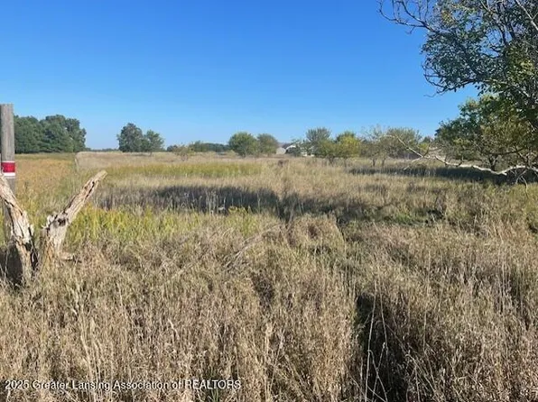 0 S Watson Rd, Saint Johns, MI 48879