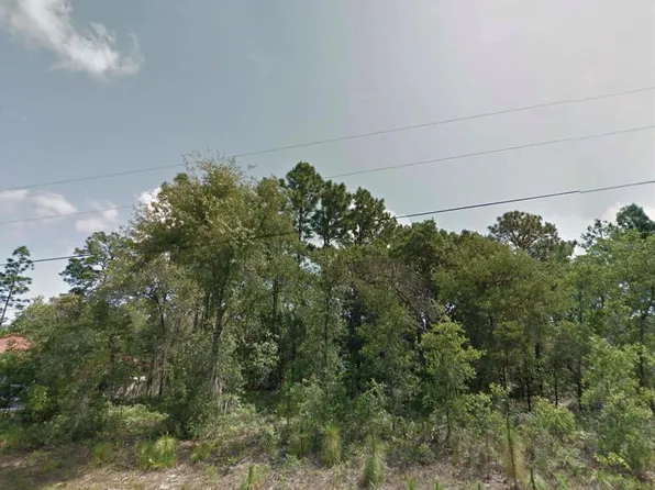 8383 N Manuetta Dr Lot 4, Dunnellon, FL 34434