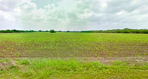 View from Brushline Road.