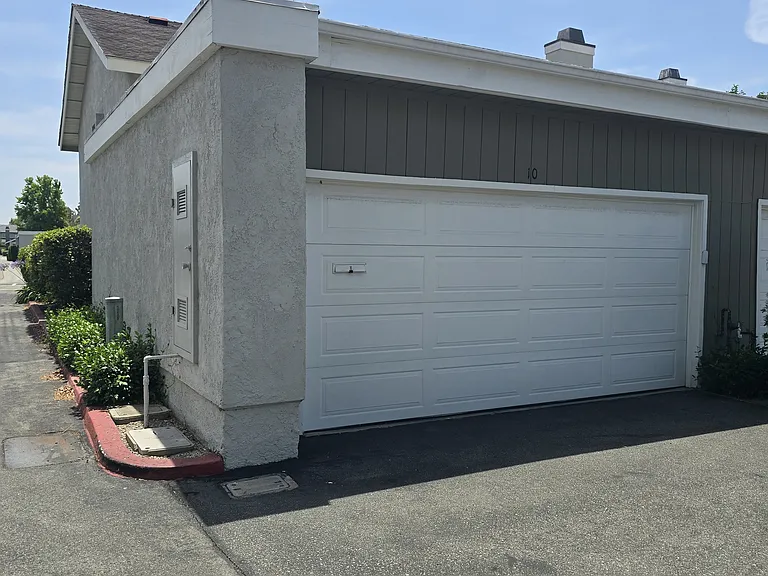 10 Goldenbush — Photo 2