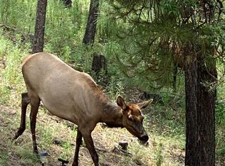 201 Chiracahua Ln, Ruidoso, NM 88345