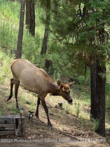 201 Chiracahua Ln, Ruidoso, NM, 88345