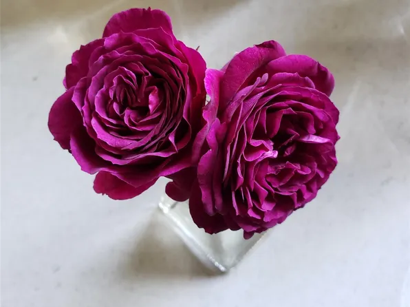 15-57 216th Street, Bayside, NY 11360