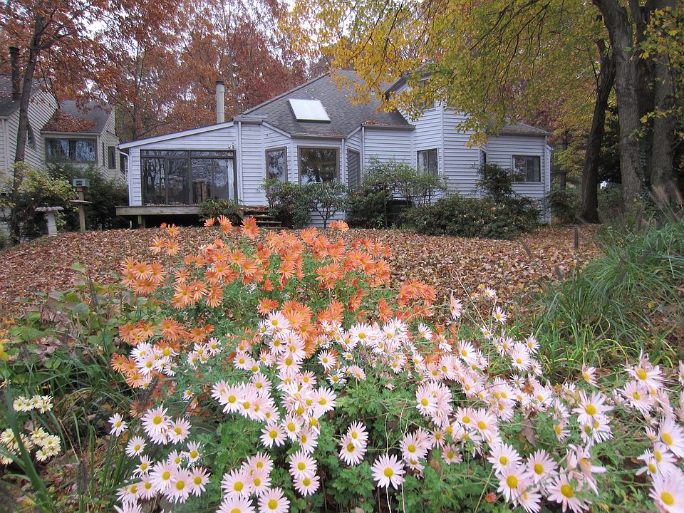 Rear of house in the fall
