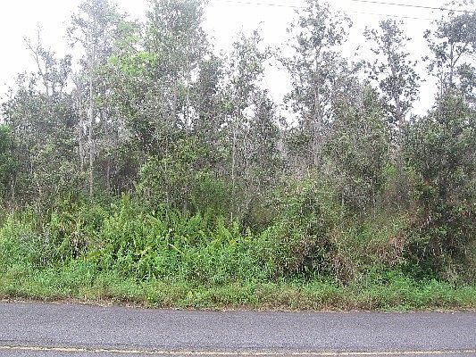 2nd image of Lotus Blossom Ln Lot 25