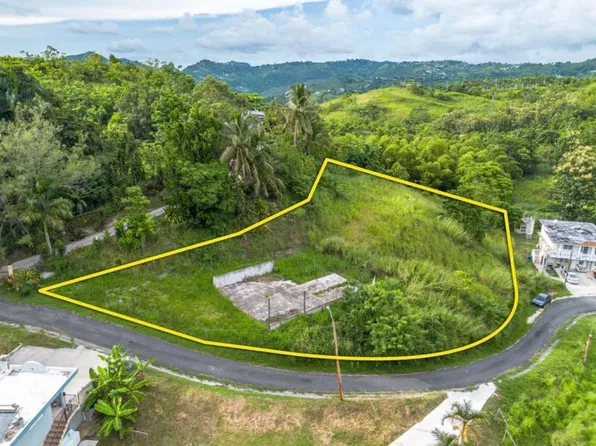Sector El Querepo Bo Toita Carr 14 Km #68.5, Cayey, PR 00736