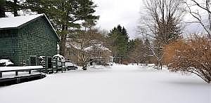 BACKYARD/SIDEYARD TO FRONT