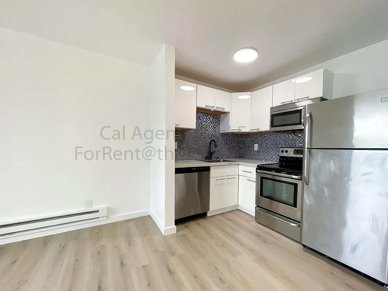 1 bed, 663 sqft, $2,450 — Photo 3