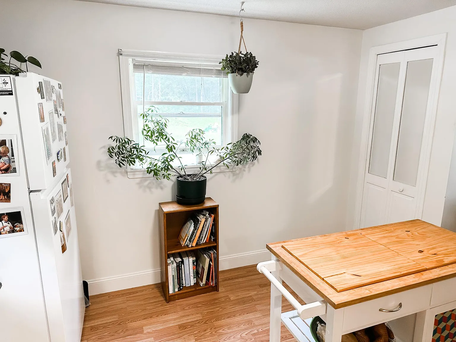 1 bed, 800 sqft, $1,500 — Photo 3