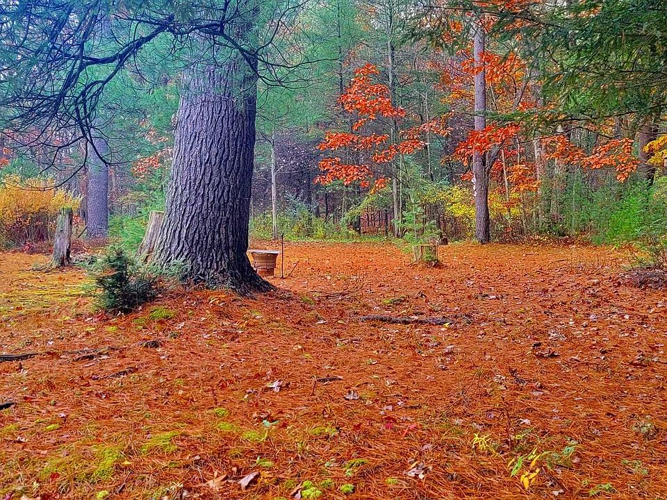 30809 Frenchville Karthaus Hwy, Frenchville, PA 16836 Zillow