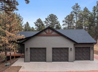 13549 Dark Timber Ct, Piedmont, SD 57769