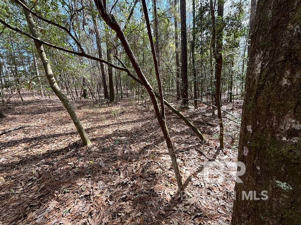 2nd image of 2 Phillipsville Rd