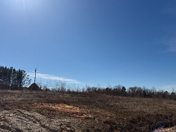 3rd image of TRACT 5 County Road 431