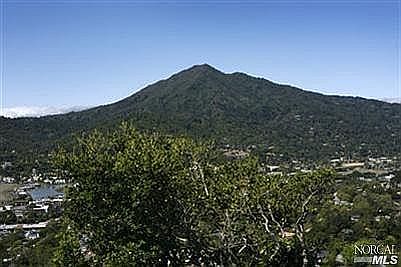 view of Mt. Tam