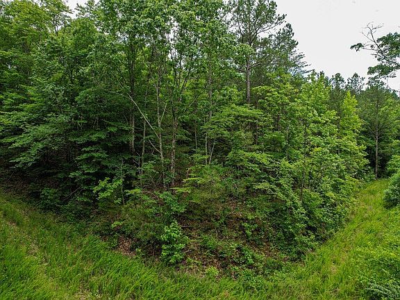 3rd image of 92 County Rd