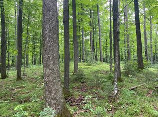 Off Ripco Road Acres #40, Eagle River, WI 54521