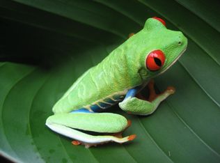 4 Pine Grove Rd, Greene, ME 04236