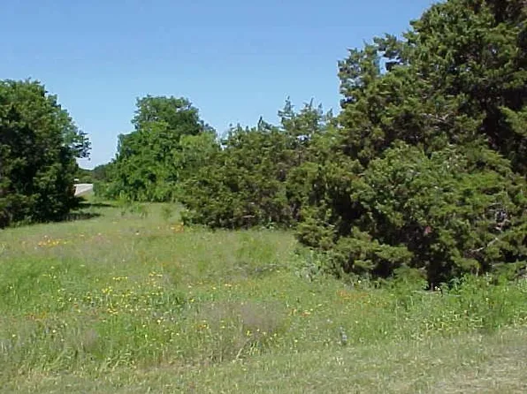 29102 Greenwood Dr, Whitney, TX 76692