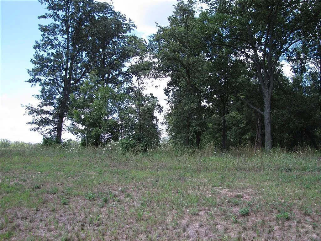 7482 Timbercross Ave photo 1