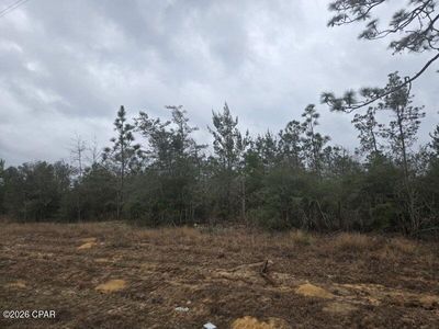 0 Northwest Cres #274, Altha, FL, 32421