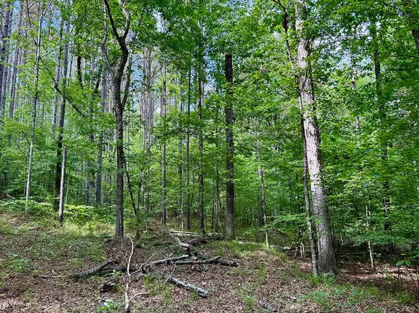 Yellow Creek Rd, Macon, MS 39341