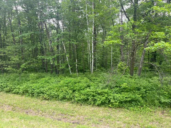 0 State Highway 107, Grasston, MN 55030