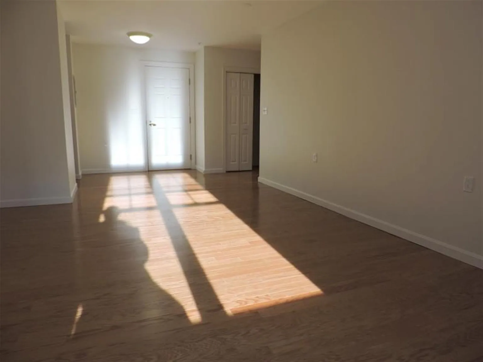 2 bed, 1000 sqft, $4,330 — Photo 3
