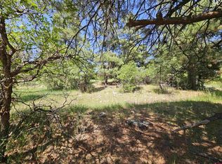 344 & 360 Caddy Cir, Pagosa Springs, CO 81147