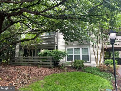 11701 Karbon Hill Ct #503A, Reston, VA, 20191
