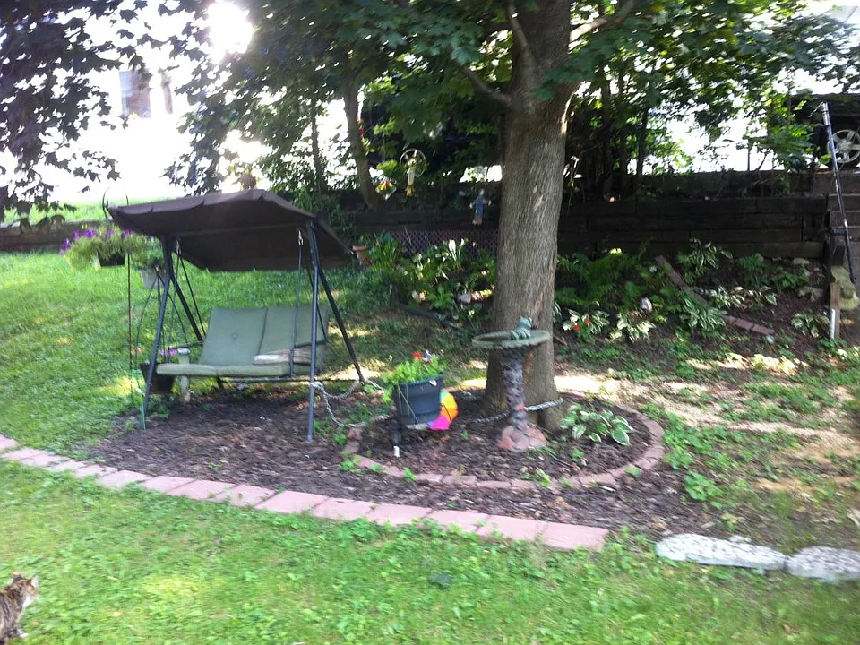 Back yard