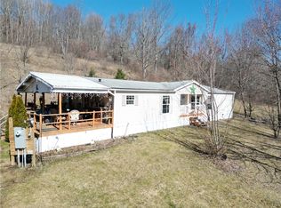 4481 Bush Hill Rd, Canisteo, NY 14823