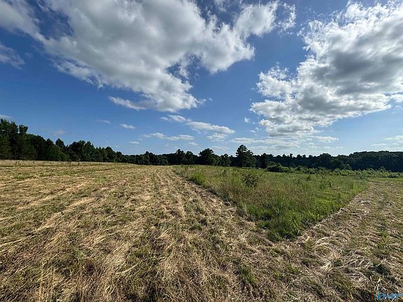 4th image of 5221 County Road 50
