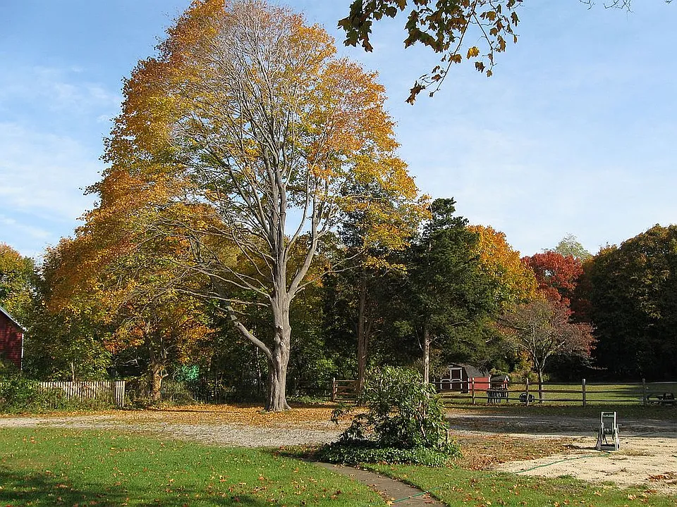 One and a half acres