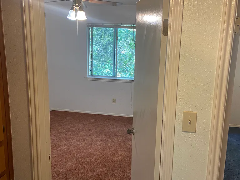 114 Lady Bird Ln #4 — Photo 7