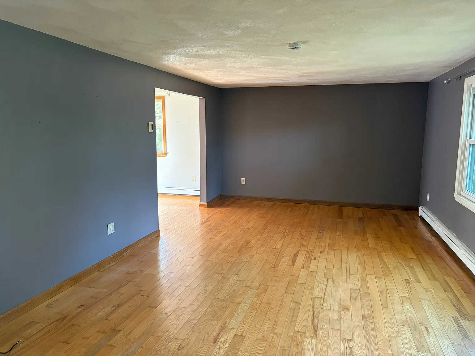 3 bed, 1.5 bath, 1902 sqft, $3,800 — Photo 4