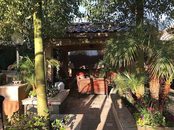 back yard