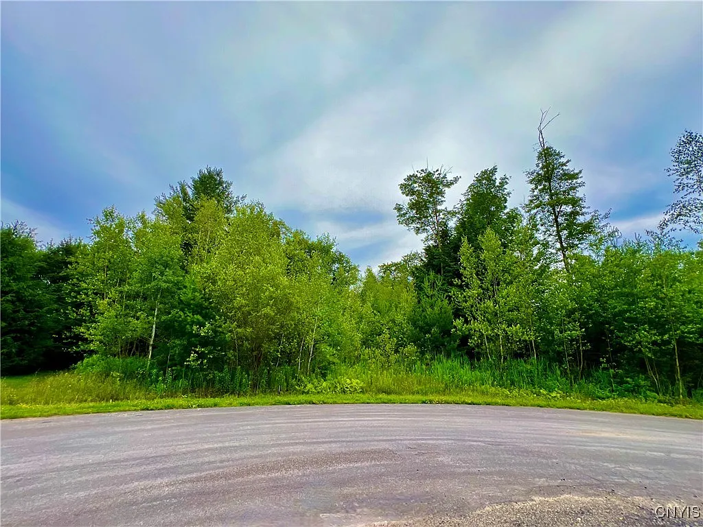 LOT 9 Forest Ridge Dr #9 photo 1