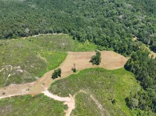 0 Ebenezer Church Rd, Bassfield, MS 39421