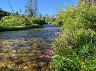 Forest Rd #304A, Stanley, ID 83278