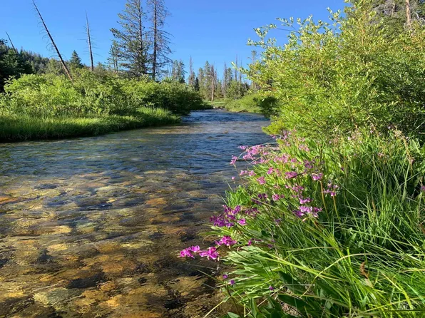 Forest Rd #304A, Stanley, ID 83278