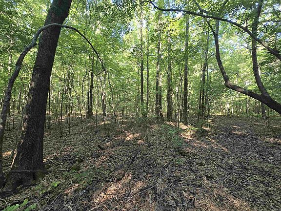 5th image of 0 Cypress Lake Rd