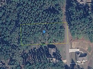 101 Bellepointe Cir, Purvis, MS 39475