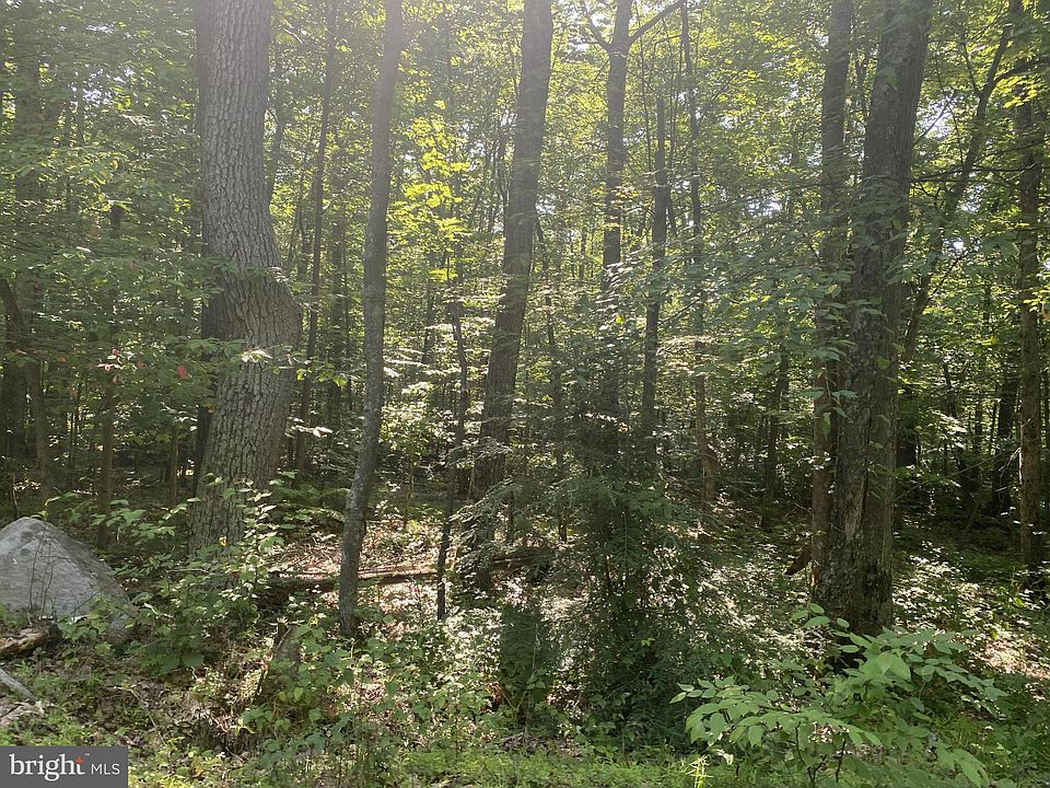 1st image of Elm Dr
