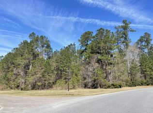 1202 Red Buckeye Ct, Moncks Corner, SC 29461