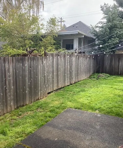 back yard