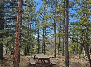 19495 Constanti Rdg #27, Weston, CO 81091