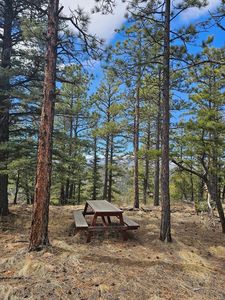 19495 Constanti Rdg #27, Weston, CO, 81091